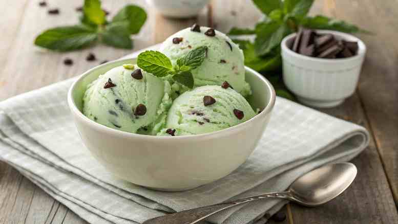 Mint Chocolate Chip Ice Cream Recipe
