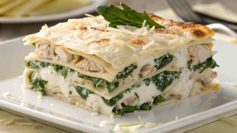 Chicken Lasagna Recipe